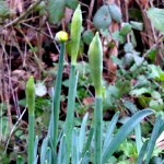 Starting something new