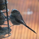 hanging around by yourself