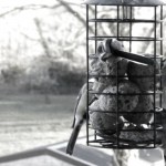 Bringing in the team